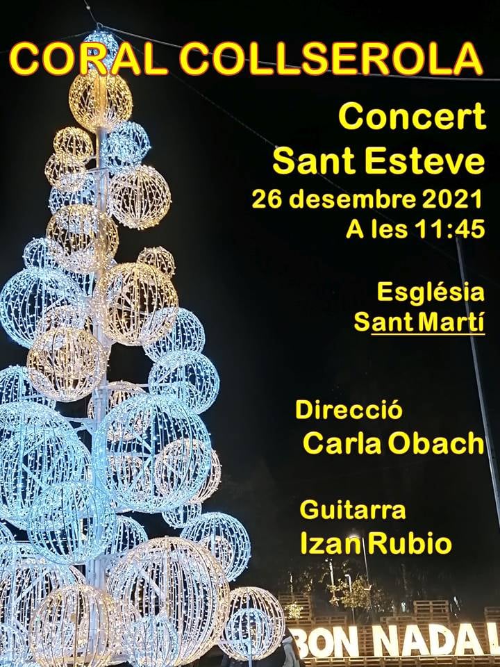 cartell del concert