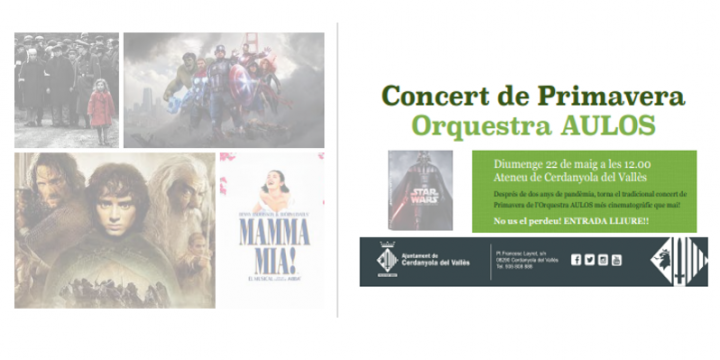 cartell del concert