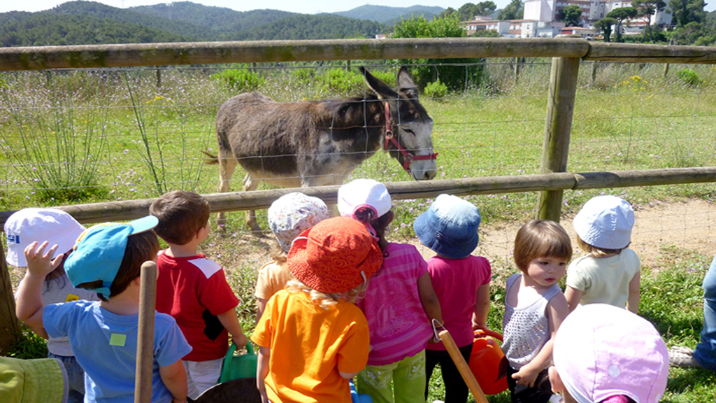 Visita a la granja de Can Coll