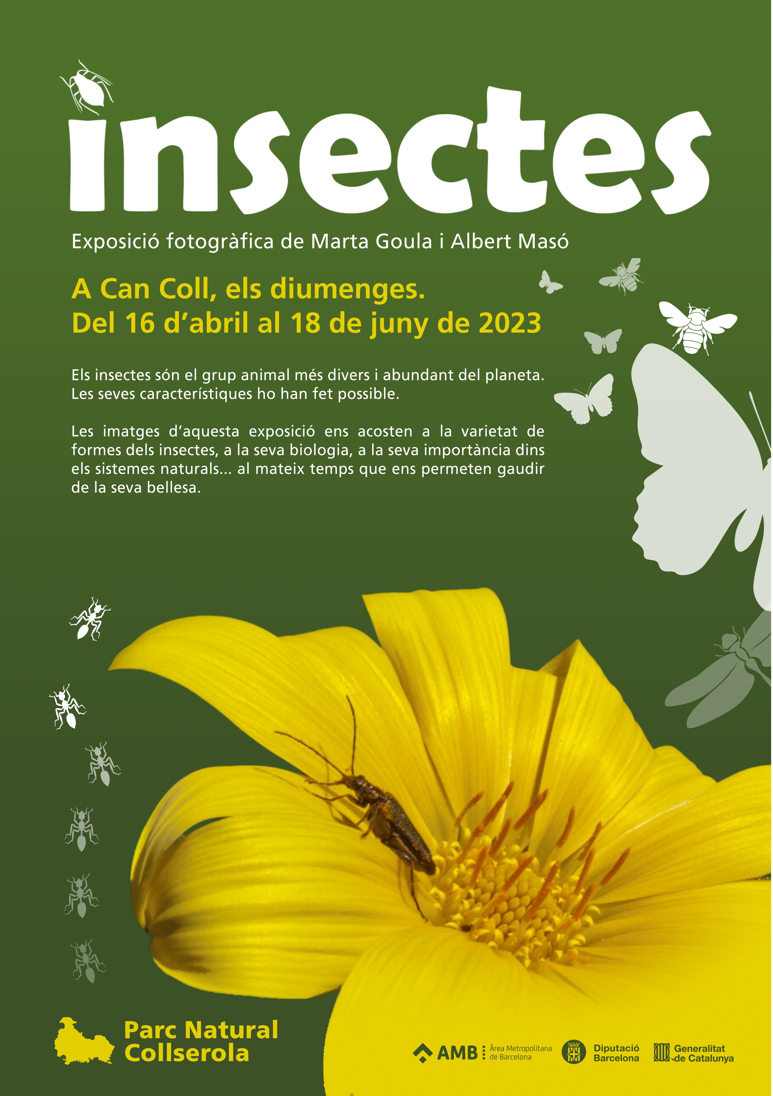 Imatge Exposició fotogràfica Insectes 