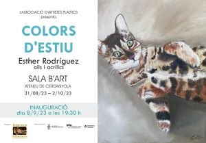 Imatge Exposició Colors d'Estiu