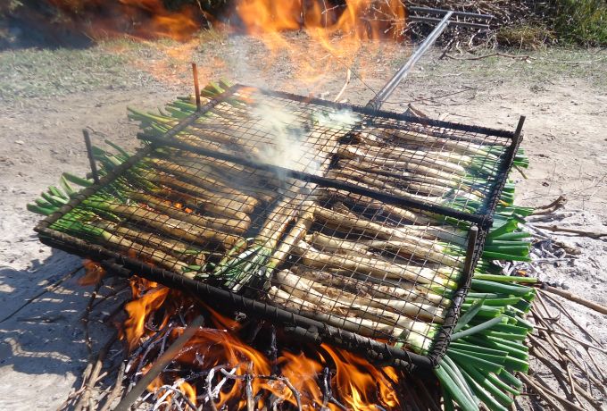 Calçotada Serraparera Imatge Calçotada Serraparera