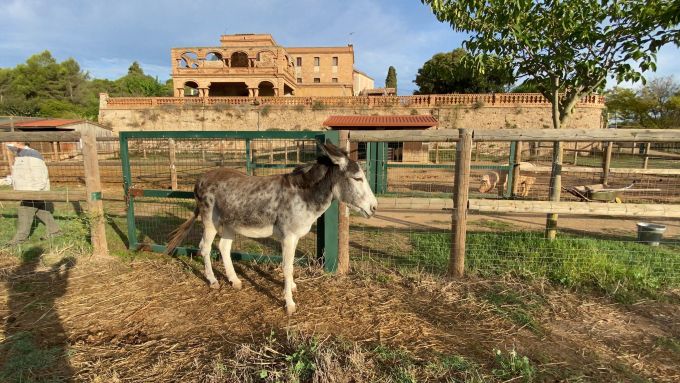 imatge Visita guiada a la granja de Can Coll