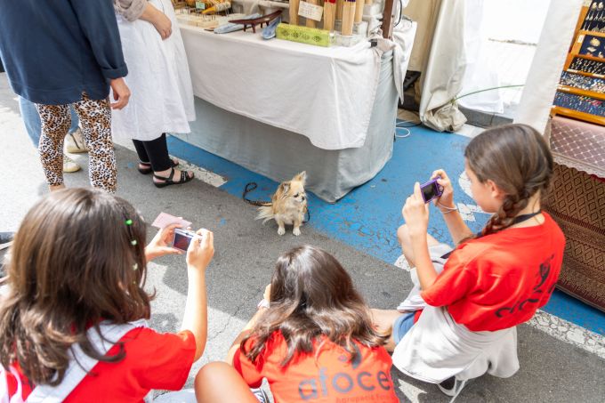 Imatge Taller infantil de fotografia pel Roser de Maig 2024