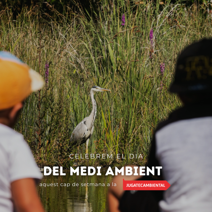 Jugatecambiental Imatge Jugatecambiental