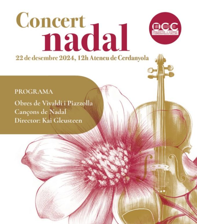 cartell del concert cartell del concert