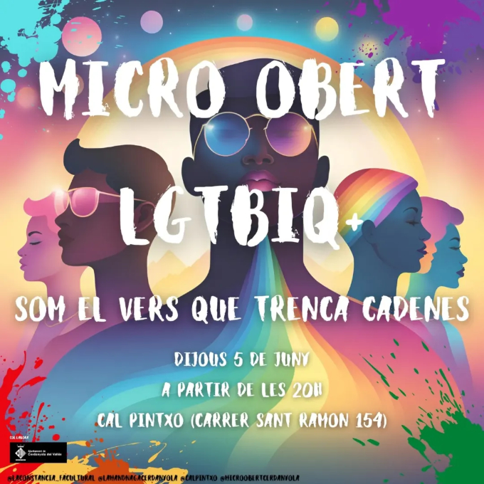 Imatge Dia Internacional per a l'Alliberament LGTBI 2025 - Micro obert LGTBIQ+
