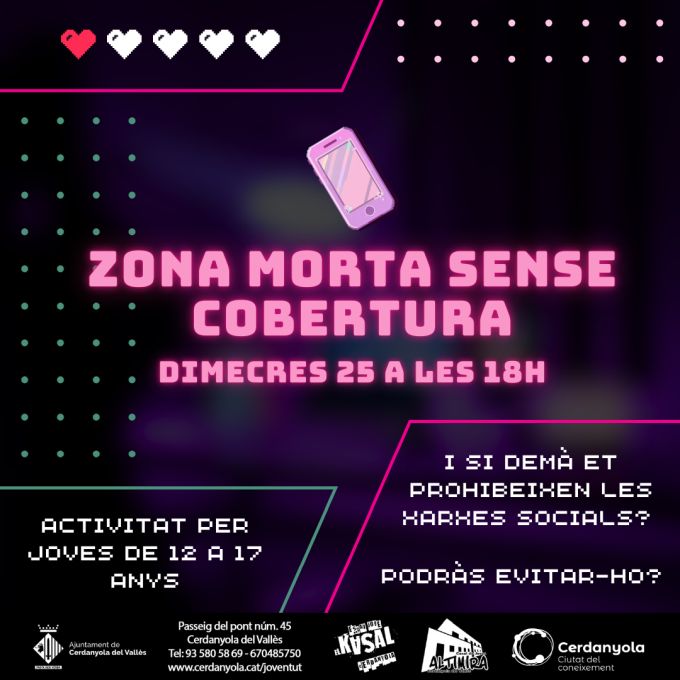 cartell de l'activitat