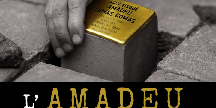 imatge del Cartell L'Amadeu torna a casa