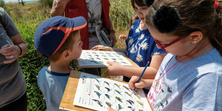 foto arxiu Bioblitz Metropolità. Ciència Ciutadana