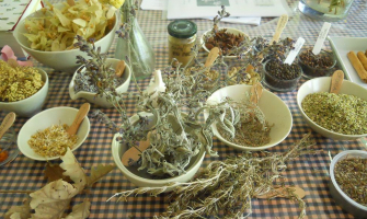 Herbes remeieres