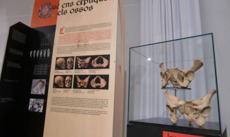 Imatge de l'exposició Ossos