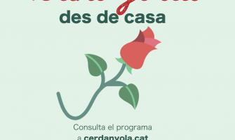 Imatge Sant Jordi des de casa