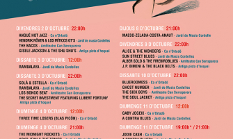 imatge programa Festival de Blues