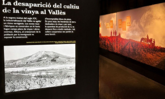Un dels plàfons de l'exposició 'Al Vallès, som gent de vinya'
