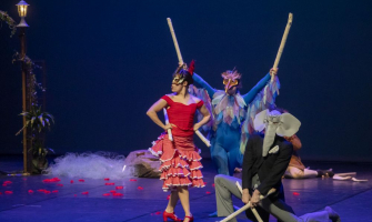 imatge de El Carnaval dels Animals. Foto: Rafael Casanova